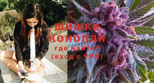 мдма Новозыбков