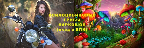 ECSTASY Нея