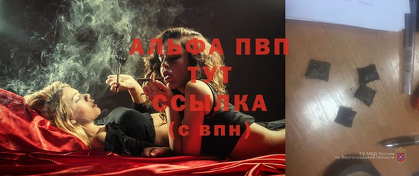 соль ск Новокубанск