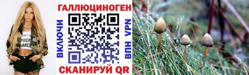 Галлюциногенные грибы прущие грибы  купить наркоту  Волоколамск 