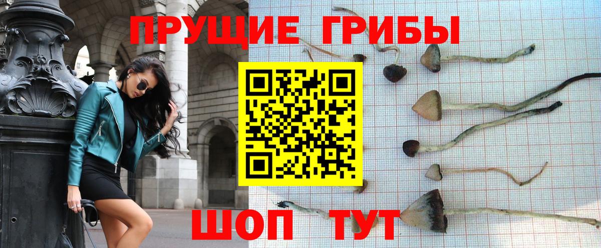 Галлюциногенные грибы мухоморы  Псилоцибиновые грибы Psilocybine cubensis  сколько стоит  Волоколамск 