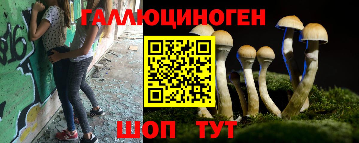 Галлюциногенные грибы MAGIC MUSHROOMS  Вход с VPN  Волоколамск  Псилоцибиновые грибы Psilocybe 